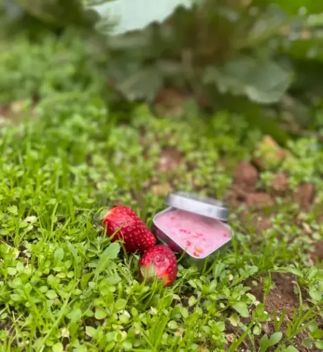 Strawberry Face Mask