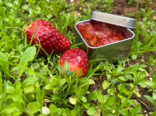 Strawberry Scrub